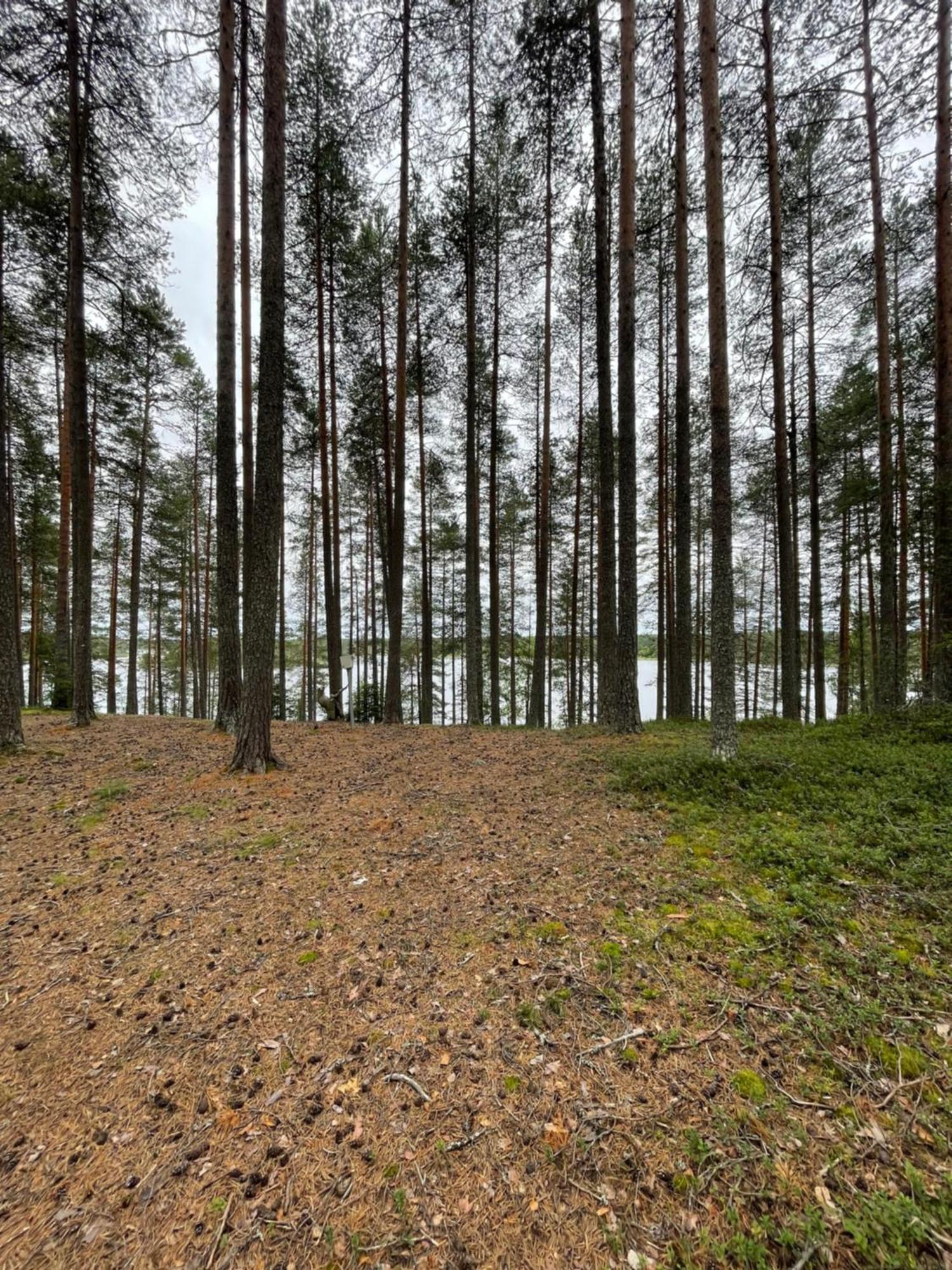 Laahtanen Camping Ristijärvi Eksteriør bilde
