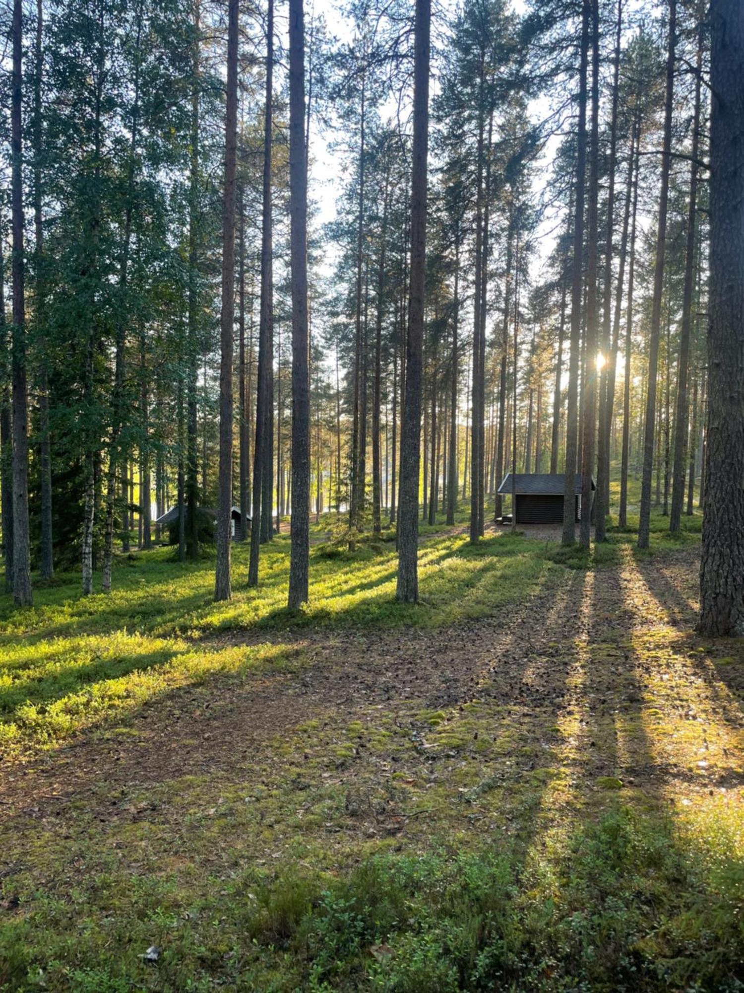Laahtanen Camping Ristijärvi Eksteriør bilde