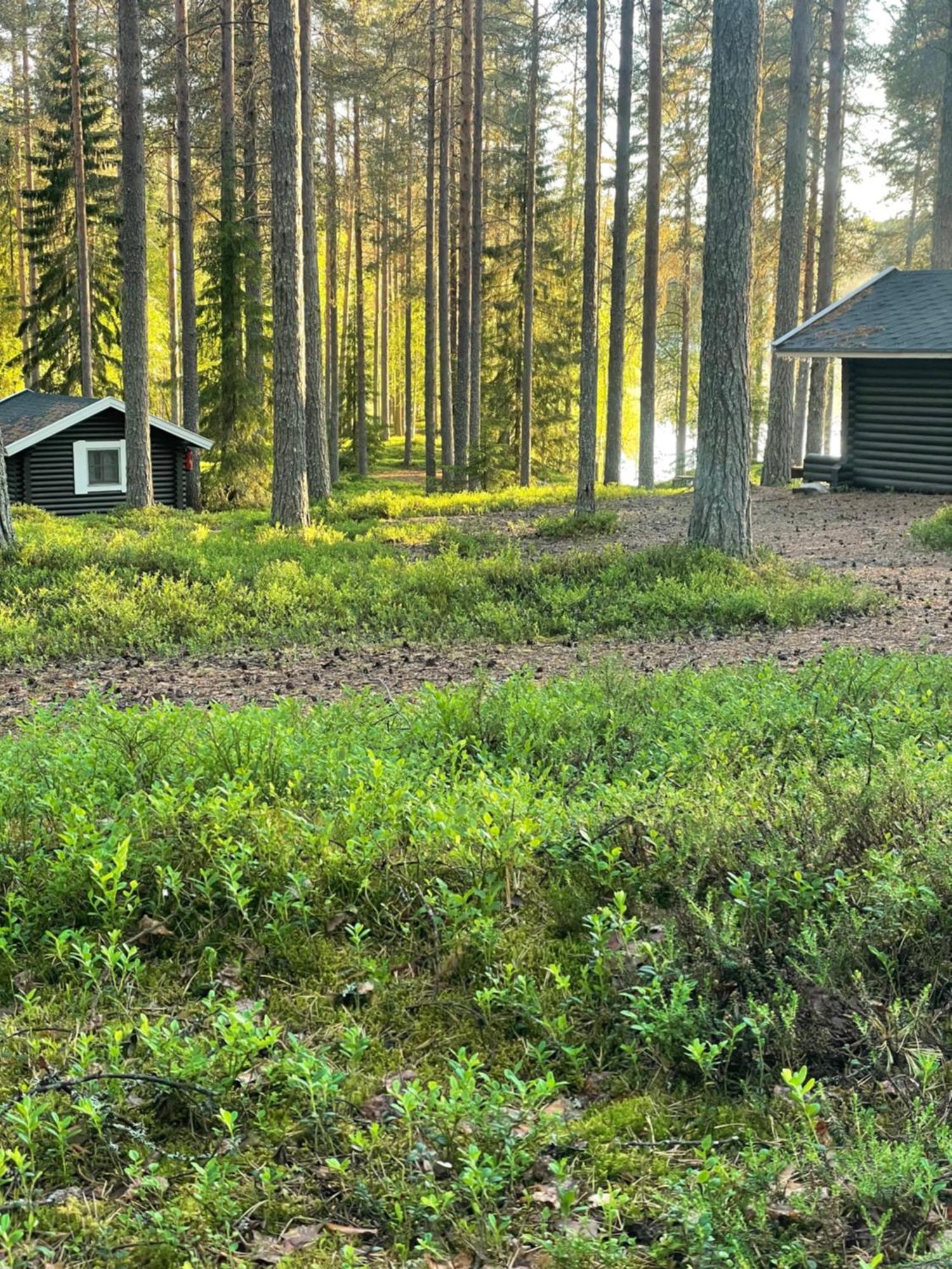 Laahtanen Camping Ristijärvi Eksteriør bilde
