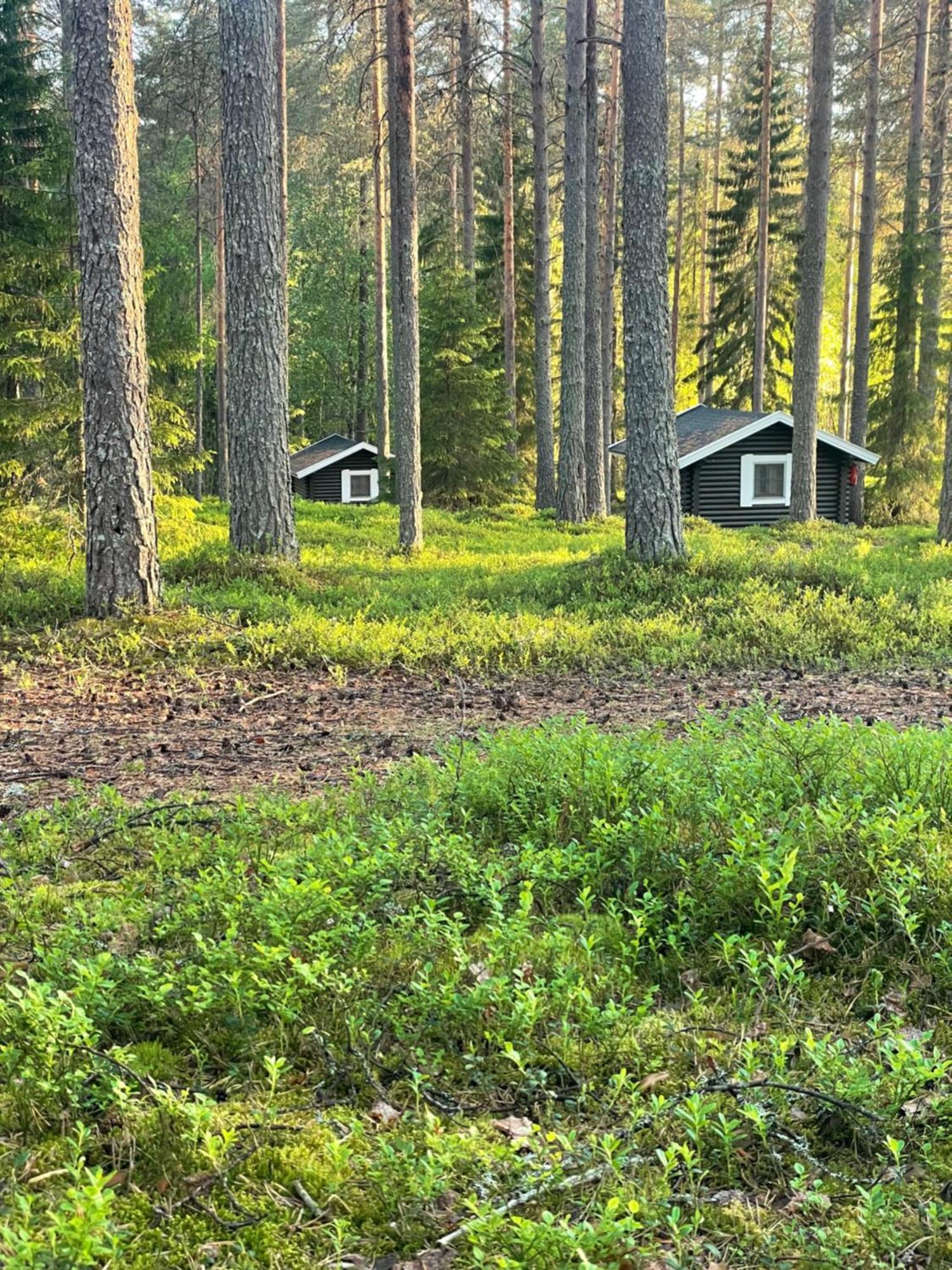 Laahtanen Camping Ristijärvi Eksteriør bilde